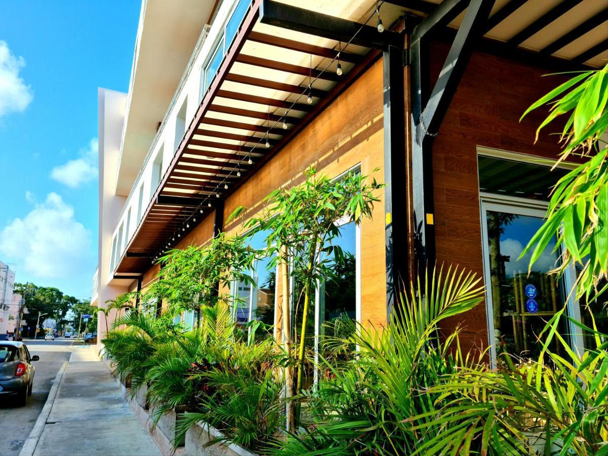 Discover Playa Del Carmen From The Gallery Condos Steps To The Beach 외부 사진